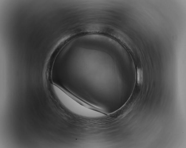 X0000094210723200711161828