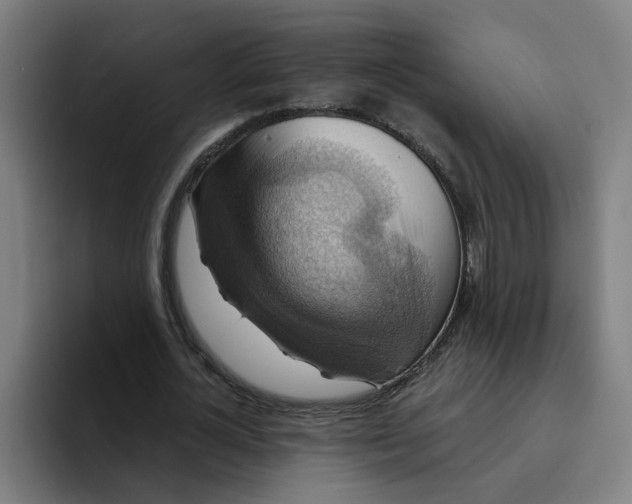 X0000094210724200711161828