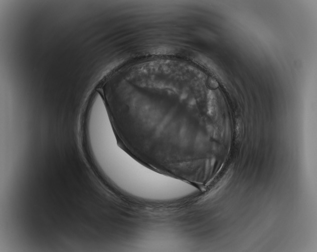 X0000094210725200711161828