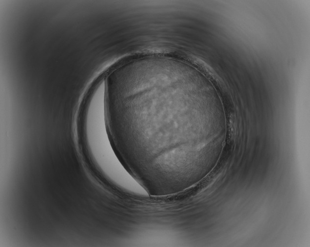 X0000094210726200711161828