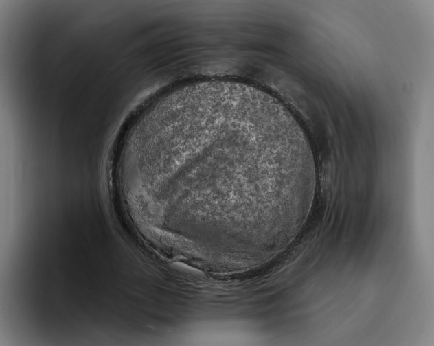 X0000094210727200711161828