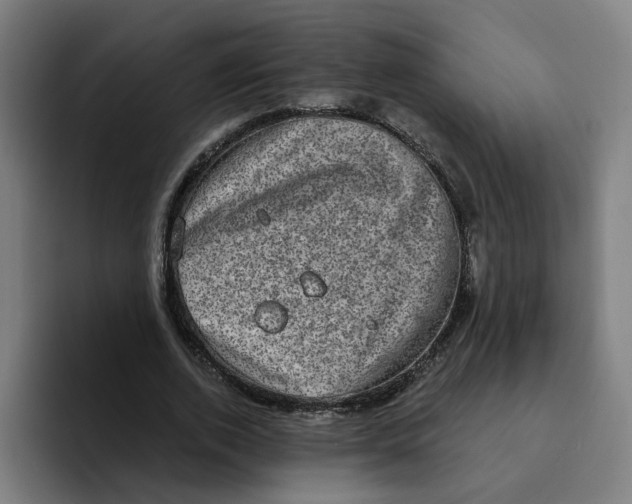 X0000094210728200711161828