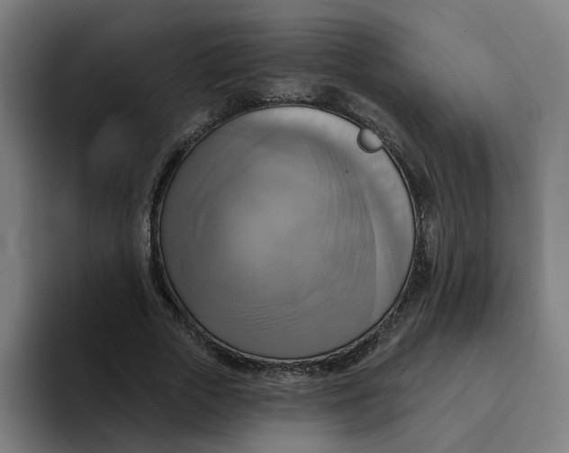 X0000094210729200711161828