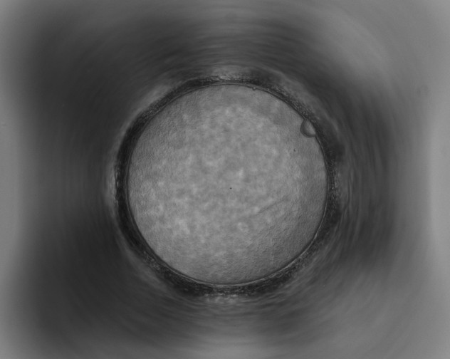 X0000094210730200711161828