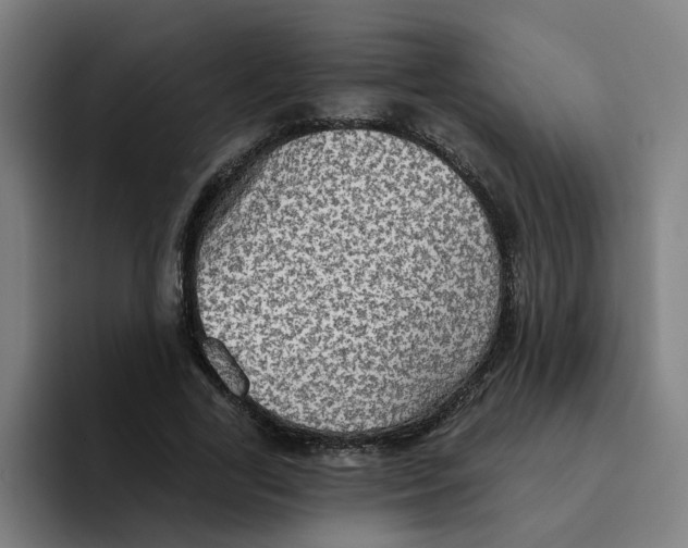 X0000094210731200711161828