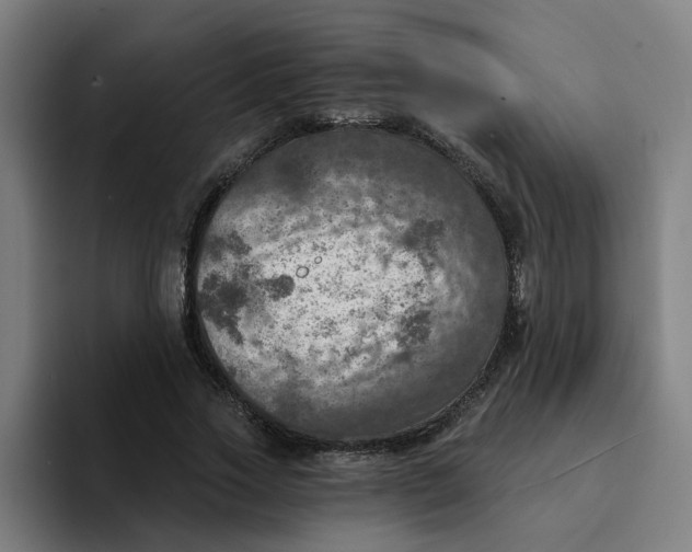 X0000094210733200711161828