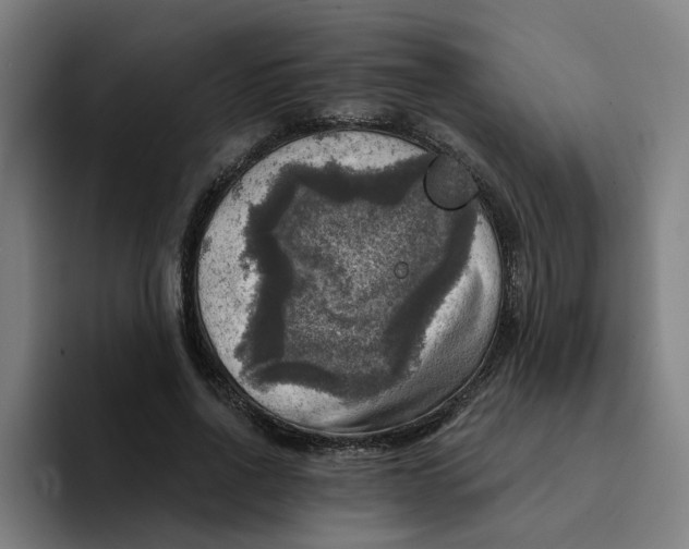 X0000094210734200711161828