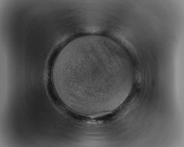 X0000094210736200711161828