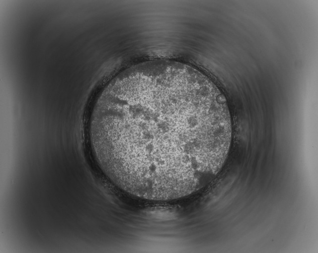X0000094210738200711161828