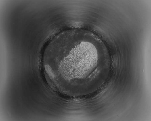 X0000094210739200711161828