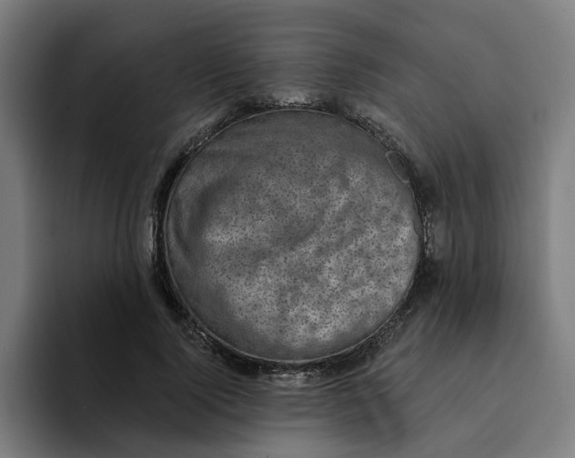 X0000094210740200711161828