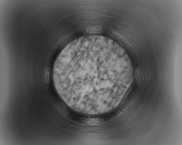 X0000094210741200711161828