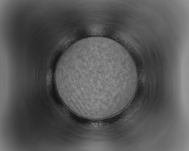 X0000094210744200711161828