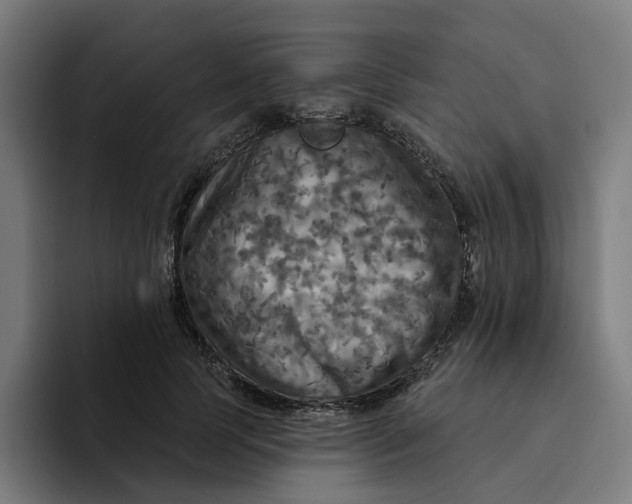 X0000094210745200711161828
