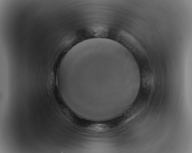 X0000094210748200711161828