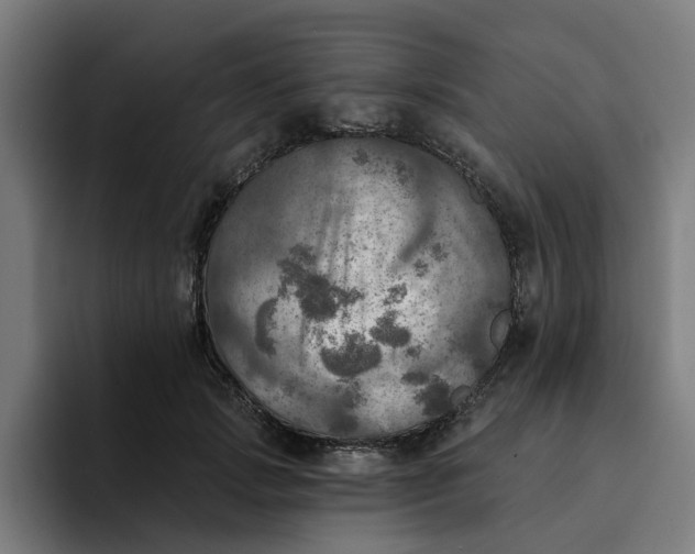 X0000094210749200711161828