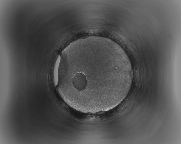 X0000094210750200711161828