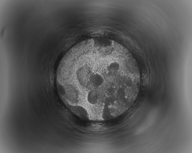 X0000094210753200711161828