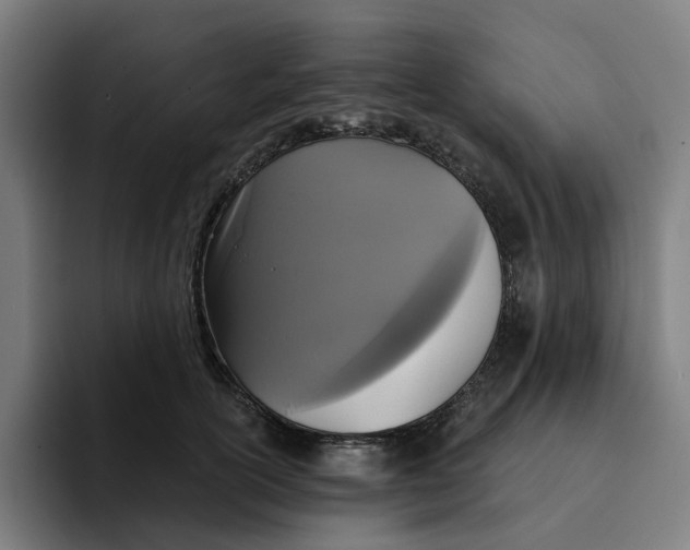 X0000094210754200711161828