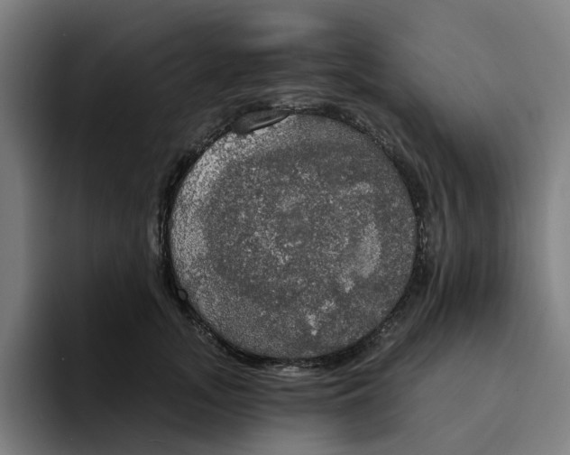 X0000094210755200711161828