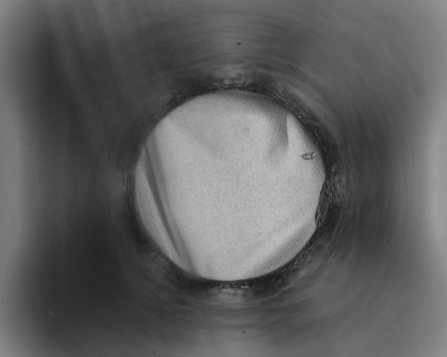 X0000094210756200711161828