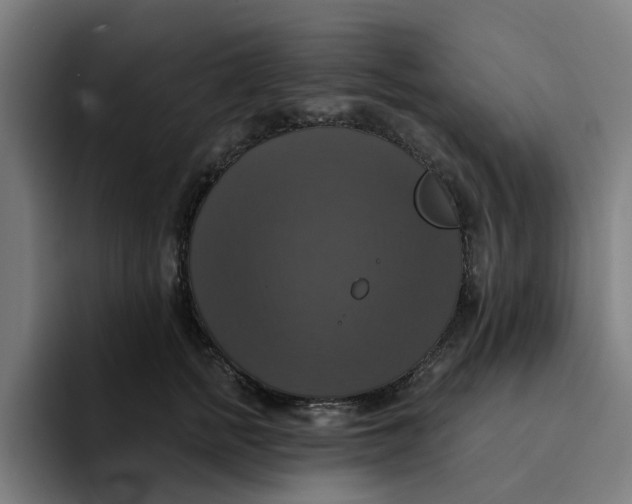 X0000094210758200711161828