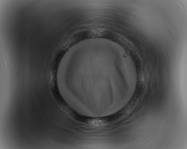 X0000094210759200711161828