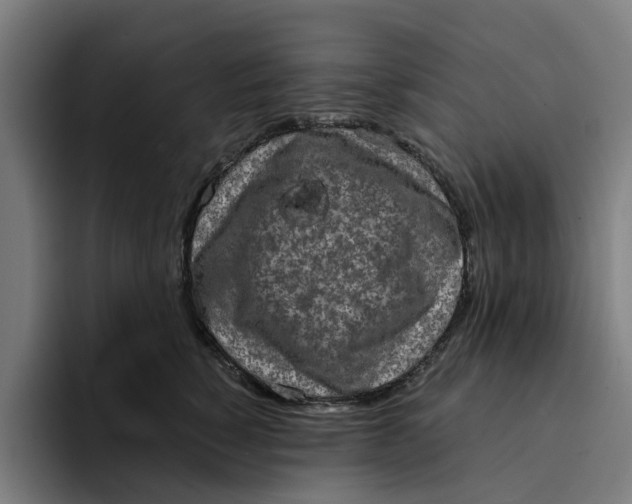 X0000094210760200711161828