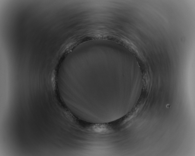 X0000094210762200711161828