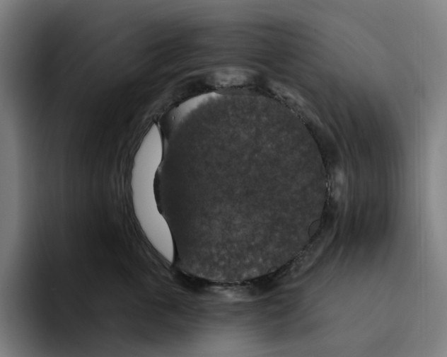 X0000094210763200711161828