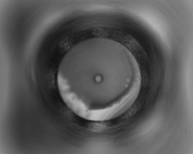 X0000094210765200711161828