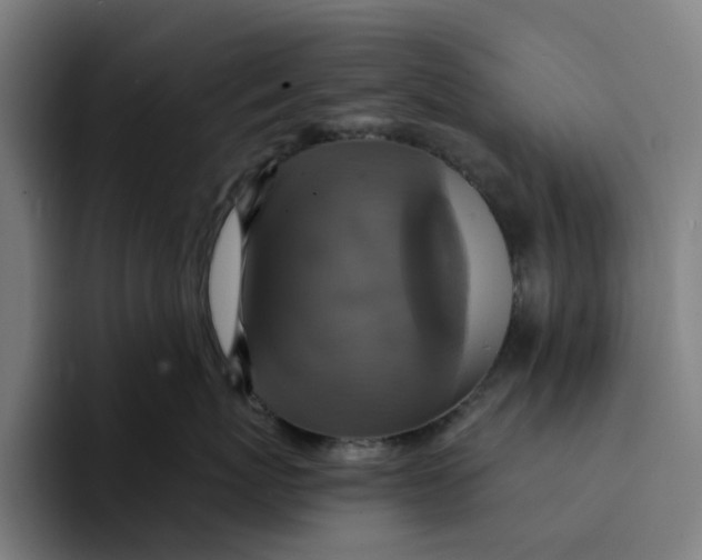X0000094210767200711161829