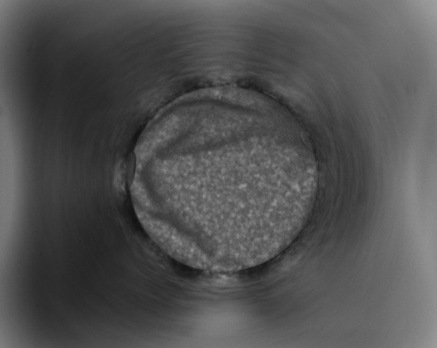 X0000094210768200711161829