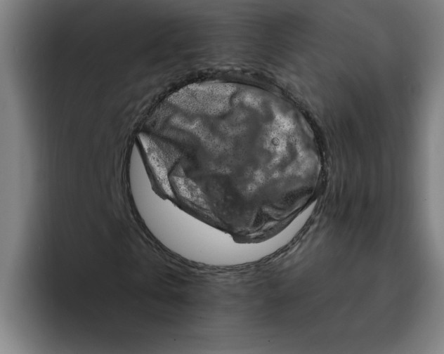 X0000094210769200711161828