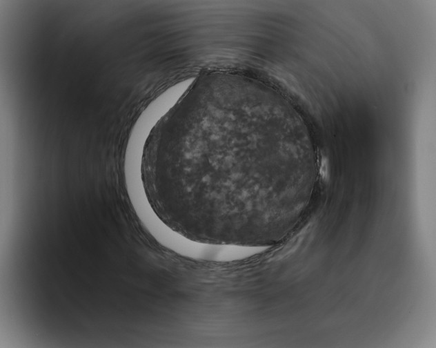 X0000094210771200711161828