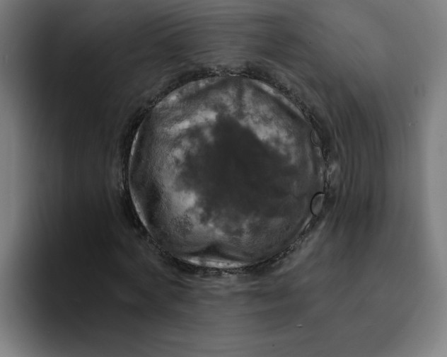 X0000094210772200711161828