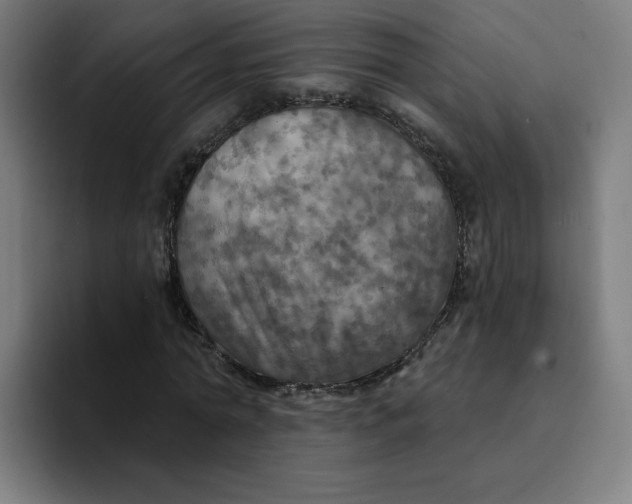 X0000094210774200711161828