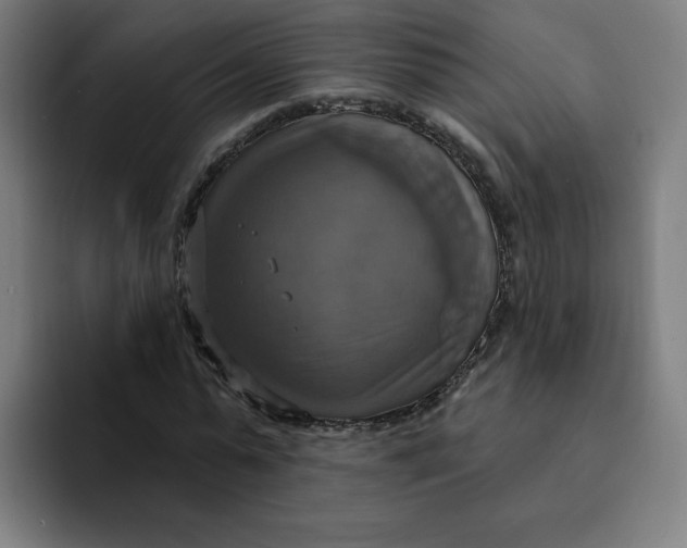 X0000094210775200711161828