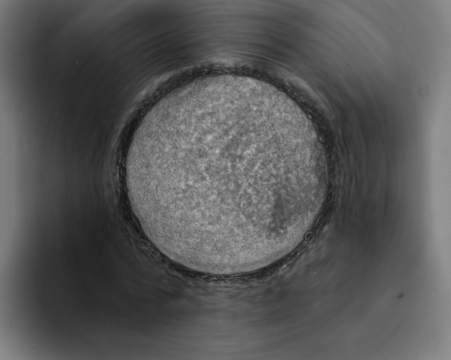 X0000094210776200711161828