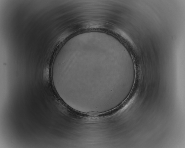 X0000094210777200711161828