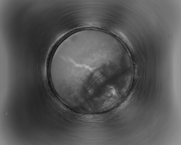 X0000094210780200711161828