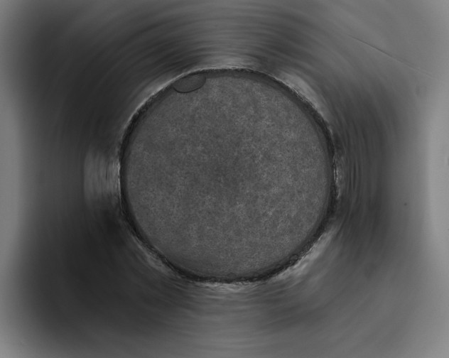 X0000094210781200711161828