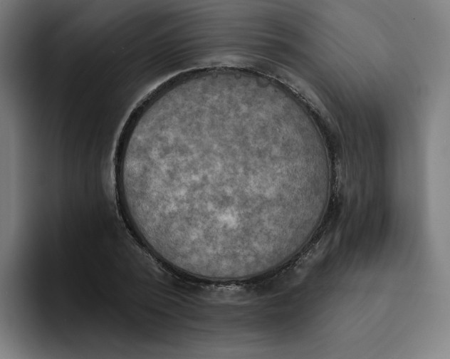 X0000094210784200711161828