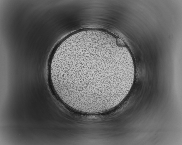 X0000094210787200711161828