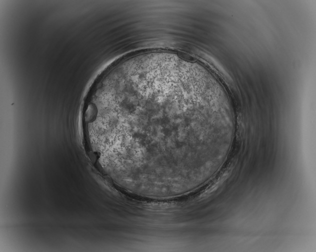 X0000094210788200711161828