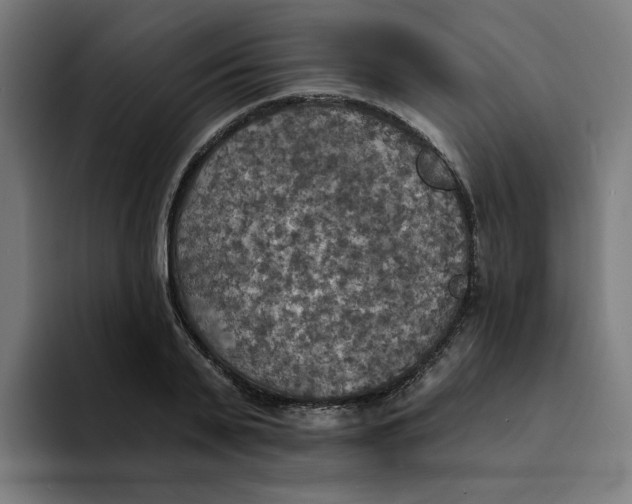 X0000094210791200711161828