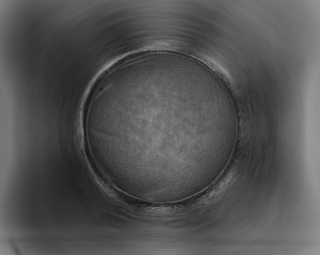 X0000094210792200711161828
