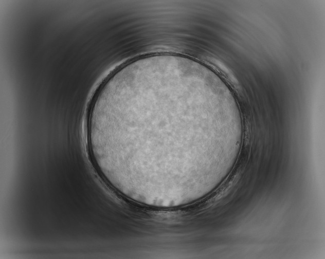 X0000094210796200711161828
