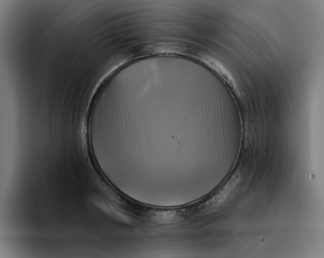 X0000094210798200711161828