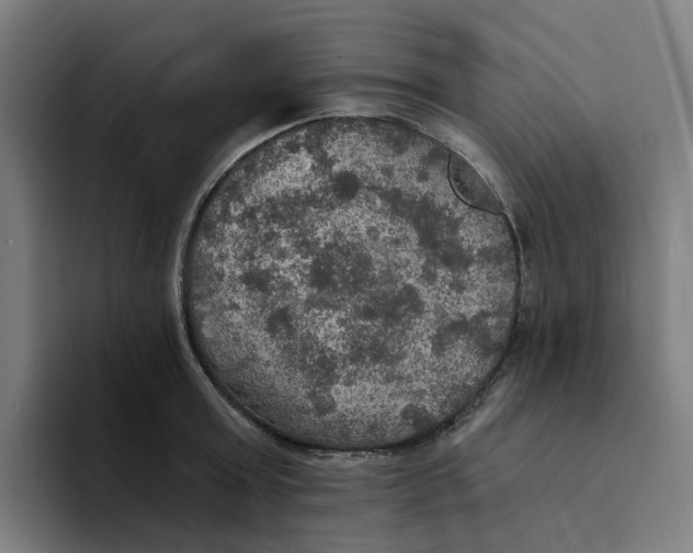 X0000094210803200711161827